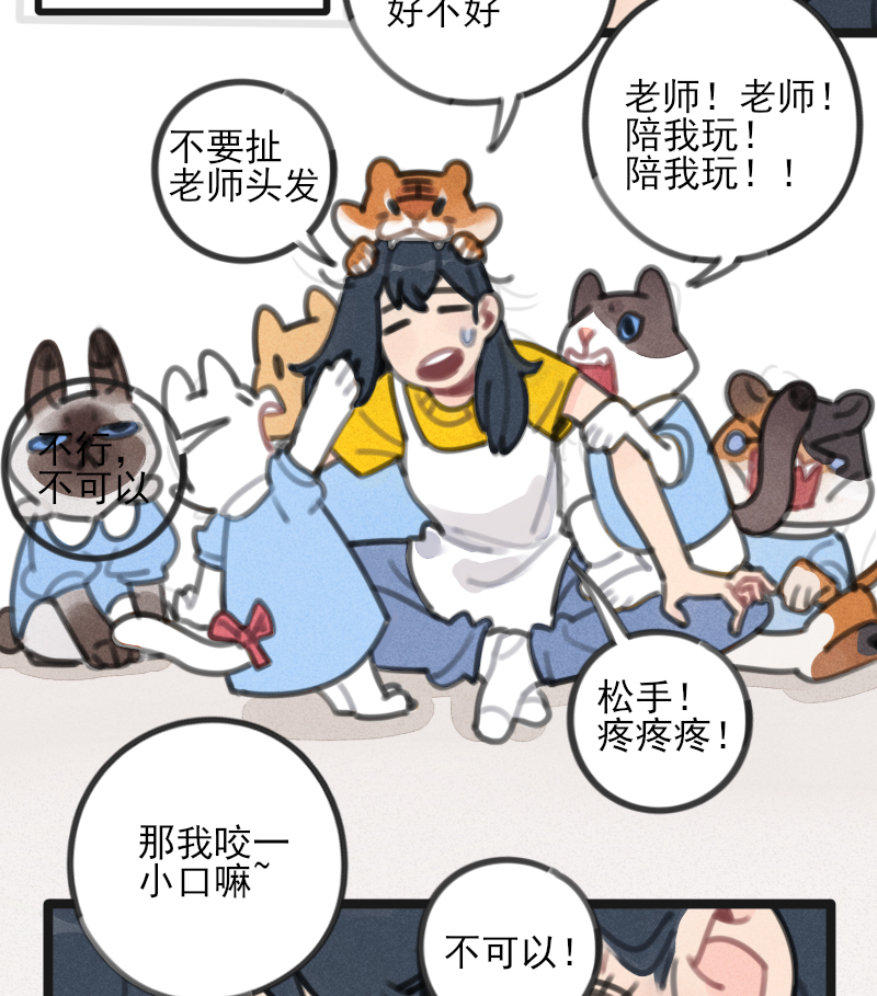 章节图片