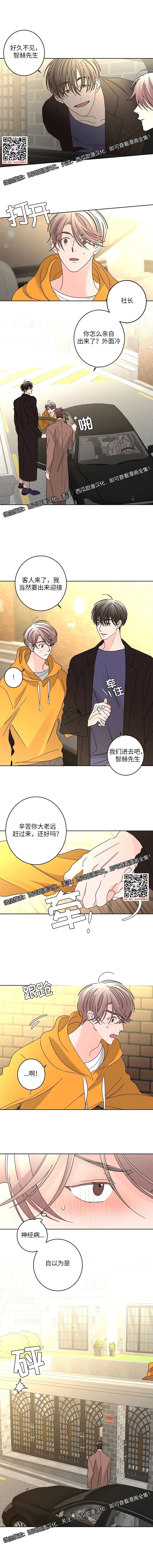 章节图片