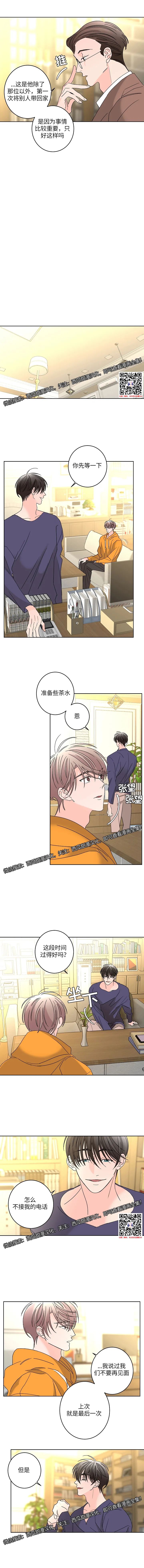 章节图片