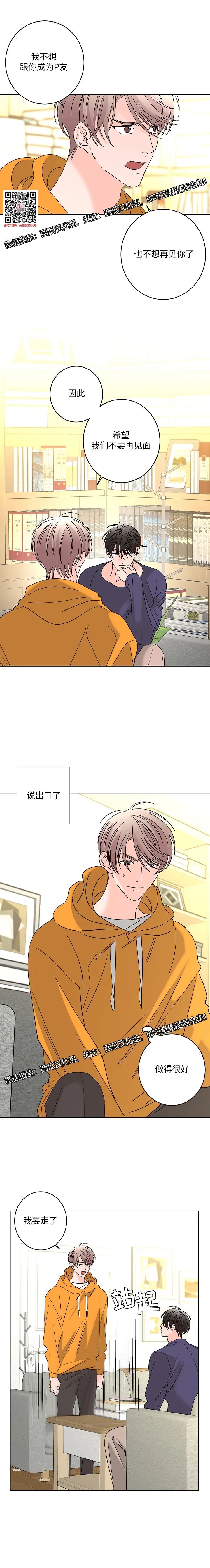 章节图片