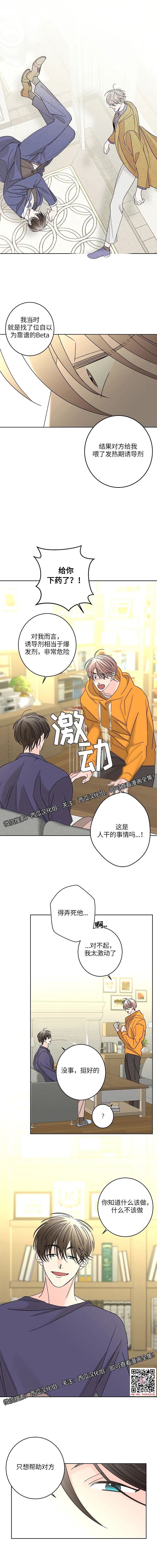 章节图片