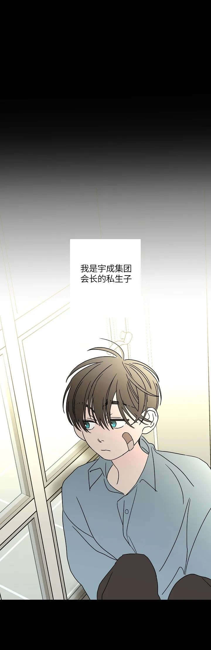 章节图片