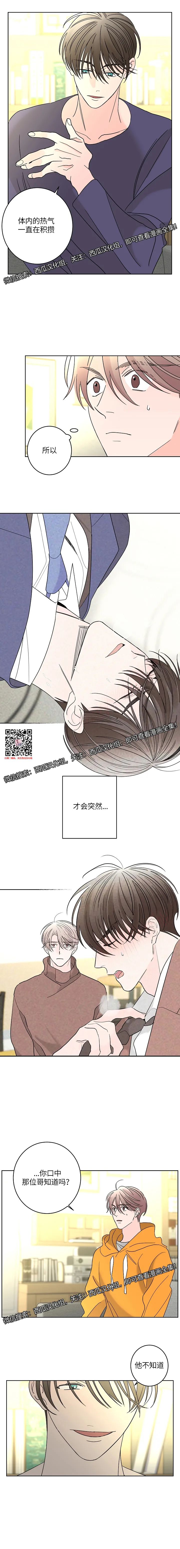 章节图片