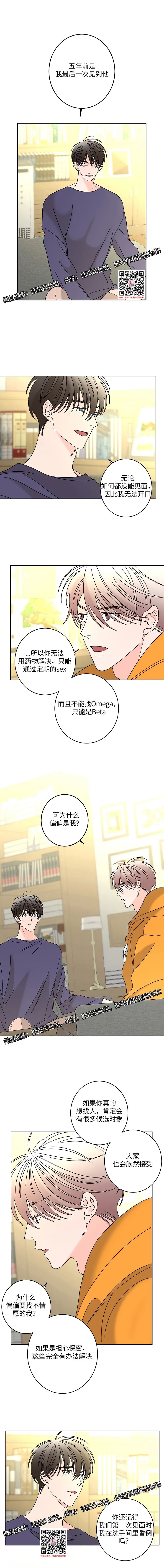 章节图片