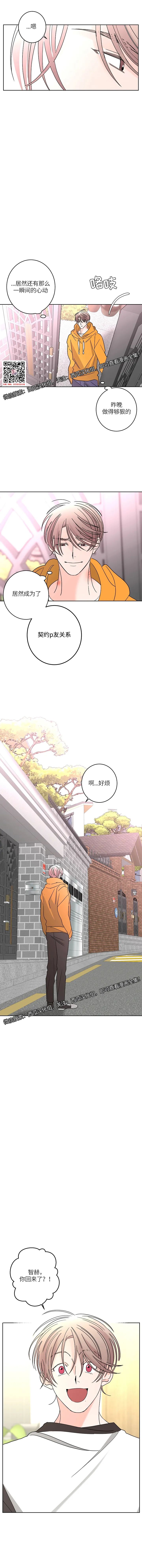 章节图片