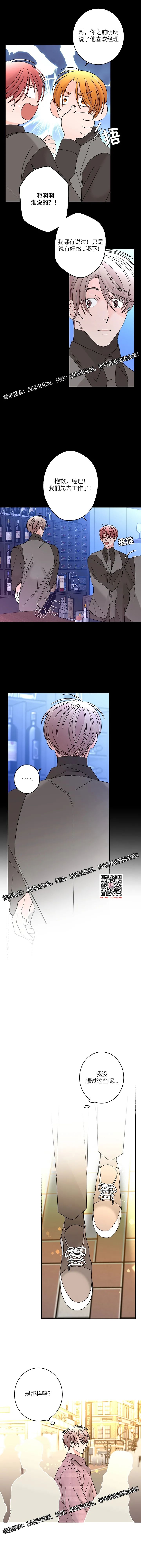章节图片