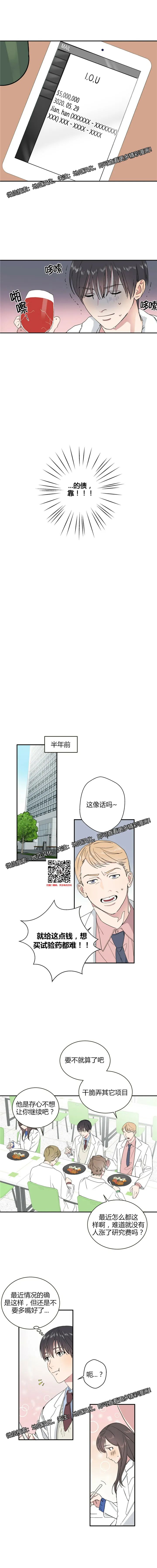 章节图片