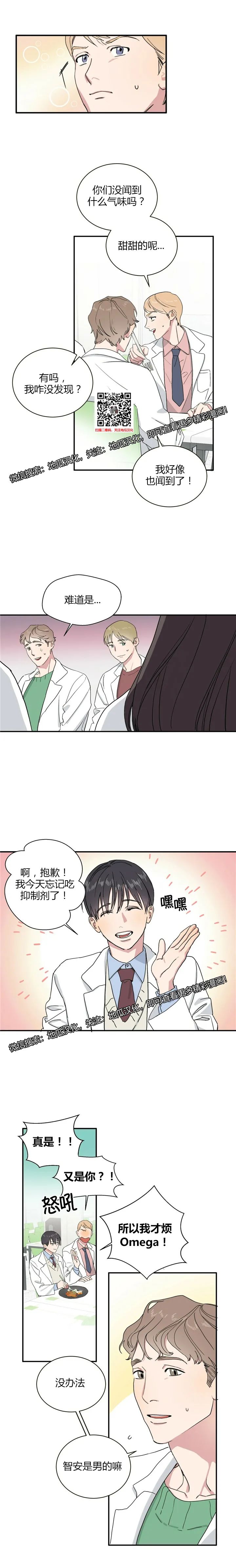 章节图片
