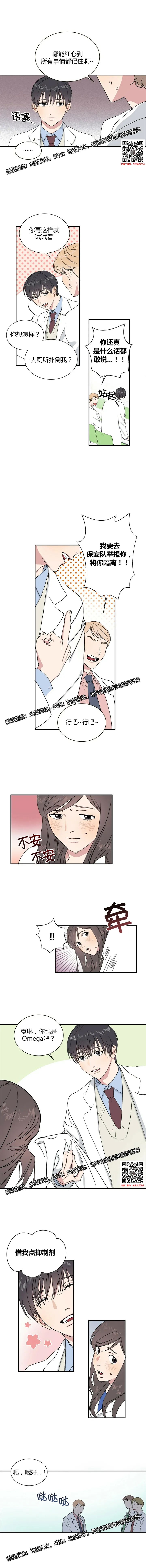 章节图片