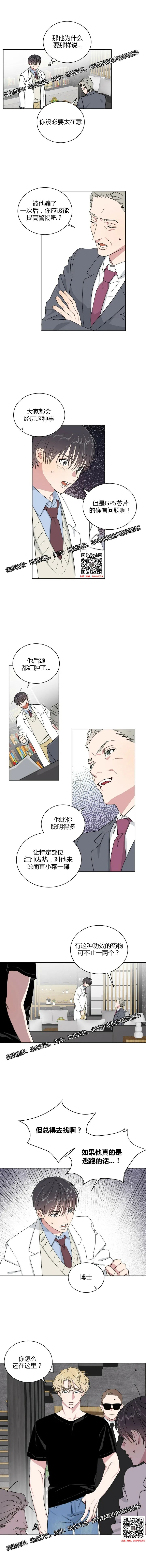 章节图片