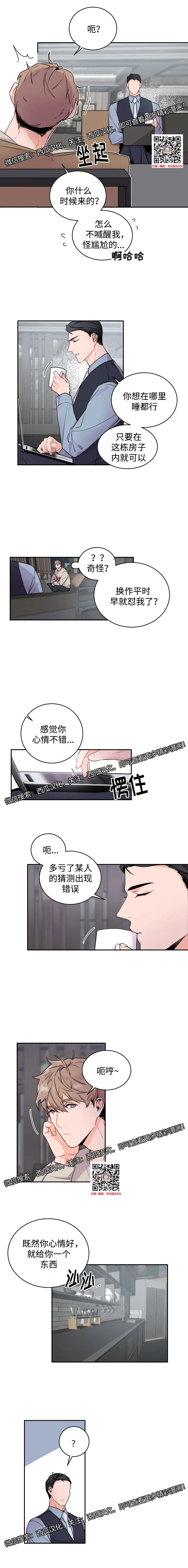 章节图片