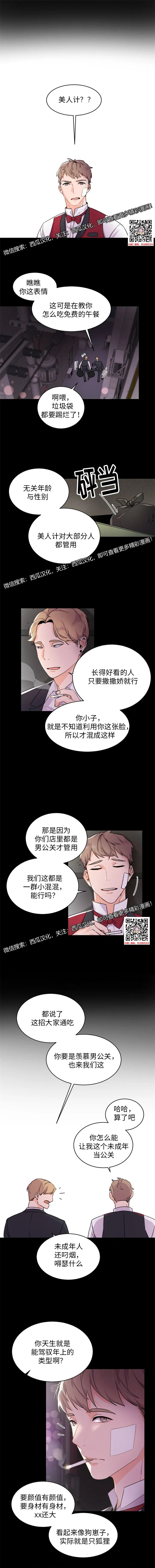 章节图片