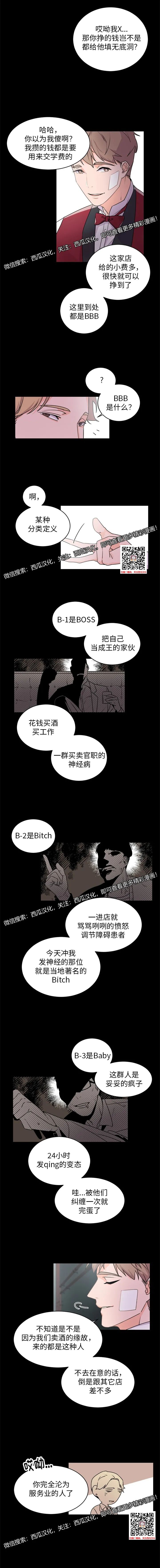 章节图片