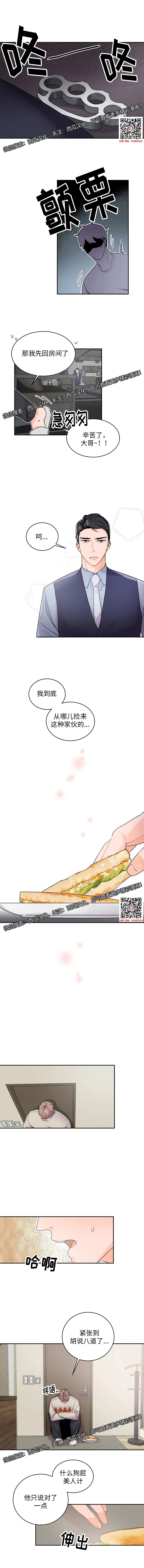 章节图片