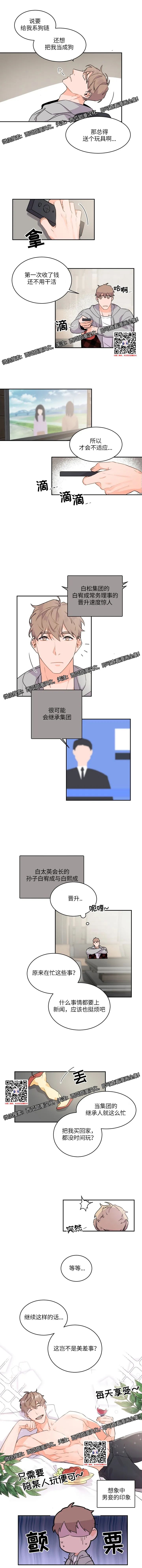章节图片