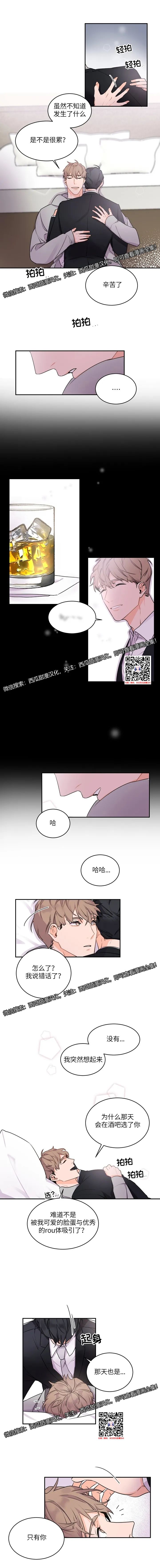 章节图片