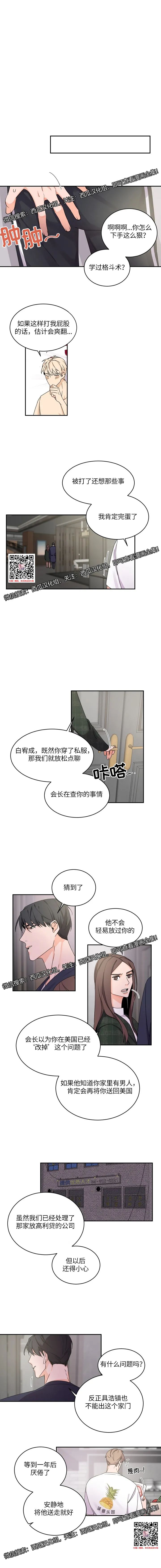 章节图片