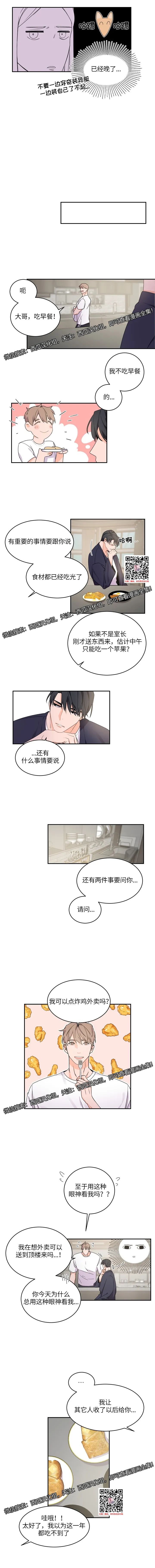 章节图片