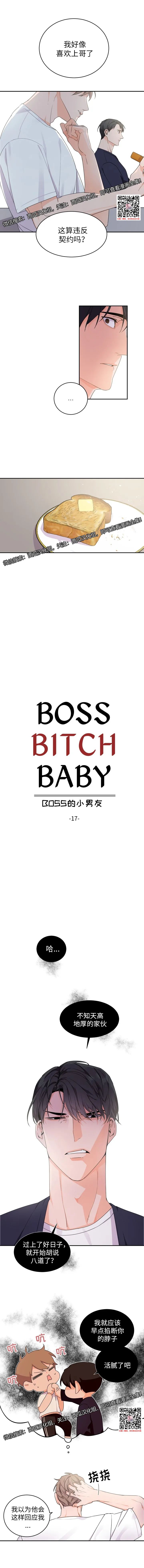 章节图片