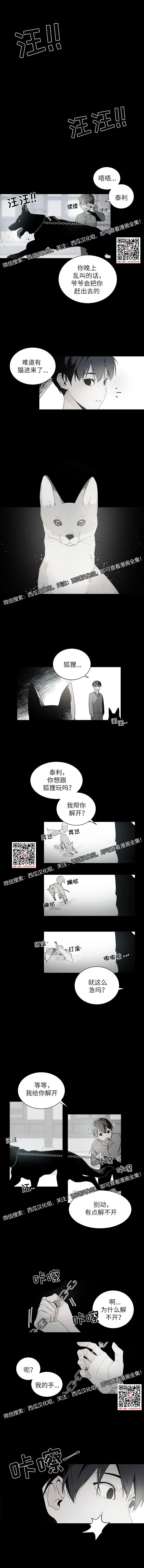 章节图片