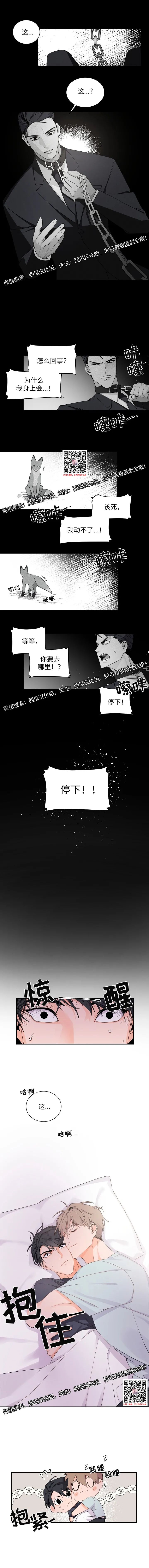 章节图片