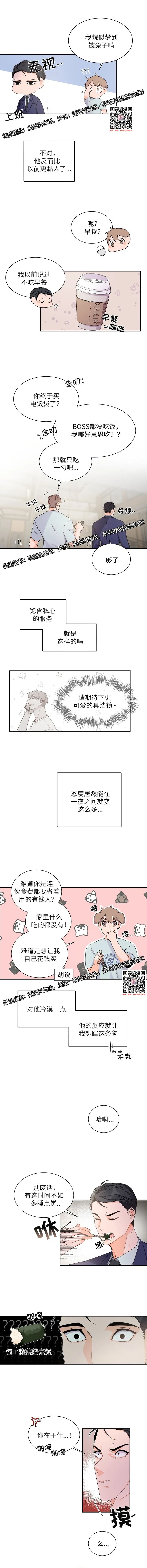 章节图片