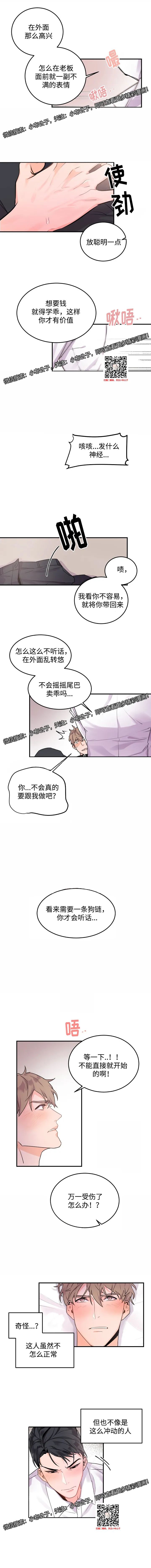 章节图片