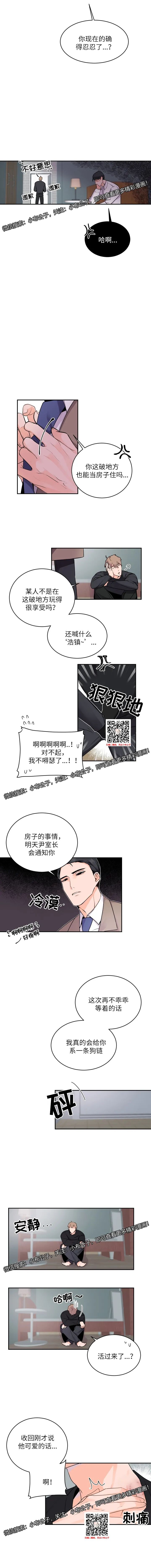 章节图片