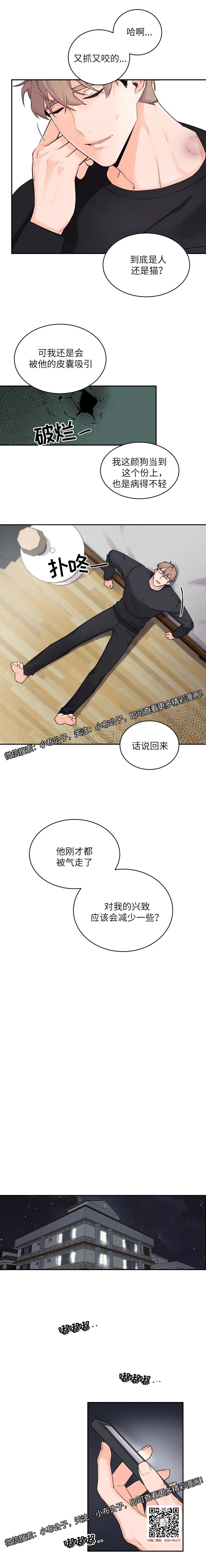 章节图片