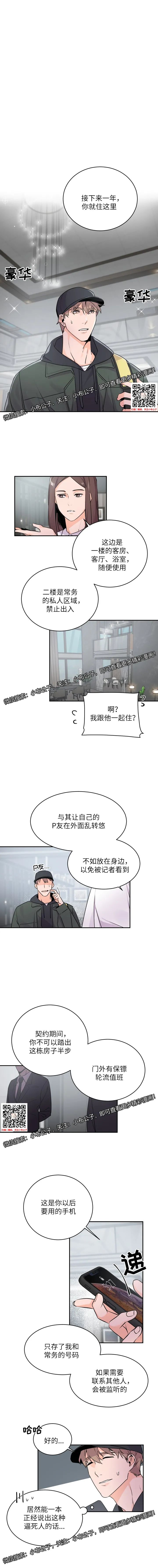 章节图片