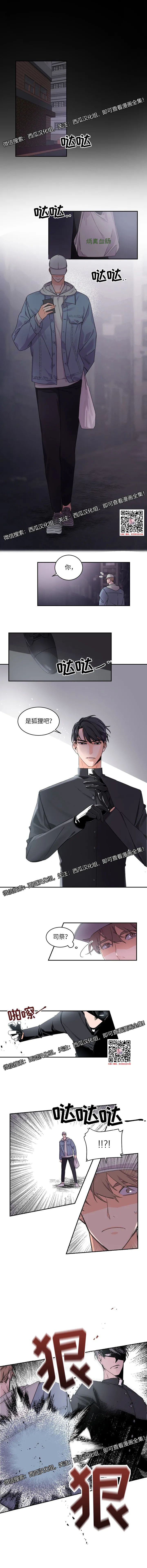 章节图片
