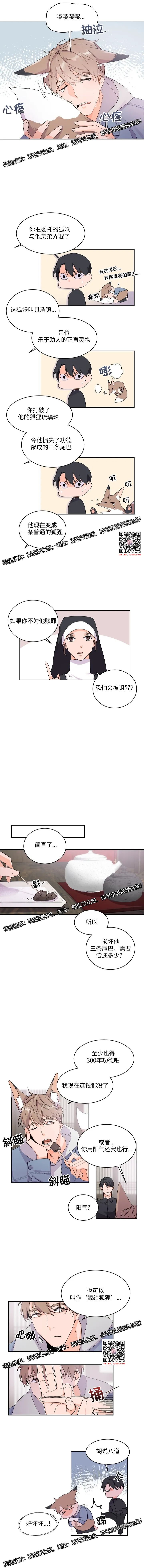 章节图片