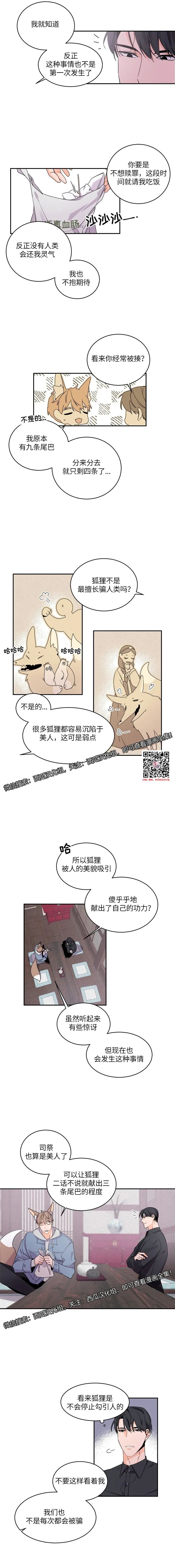 章节图片