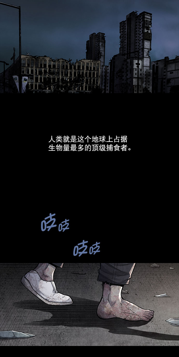 章节图片
