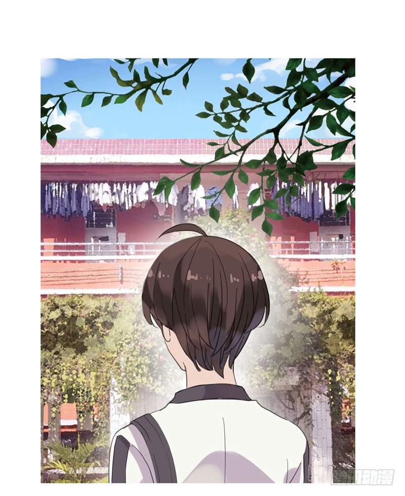 章节图片