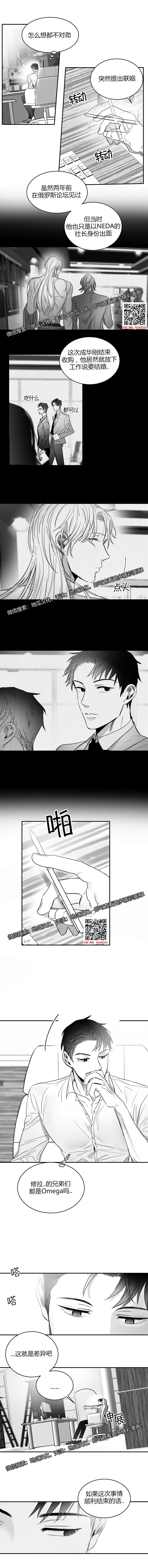 章节图片