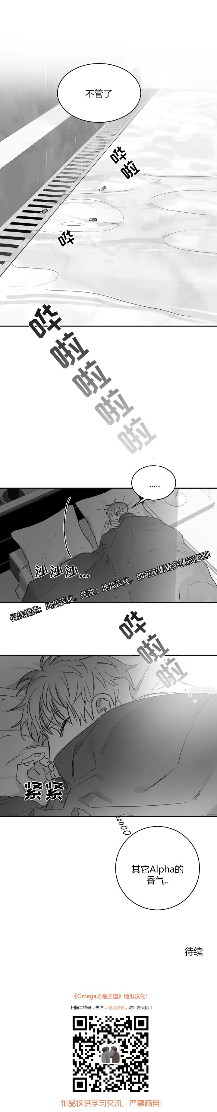 章节图片