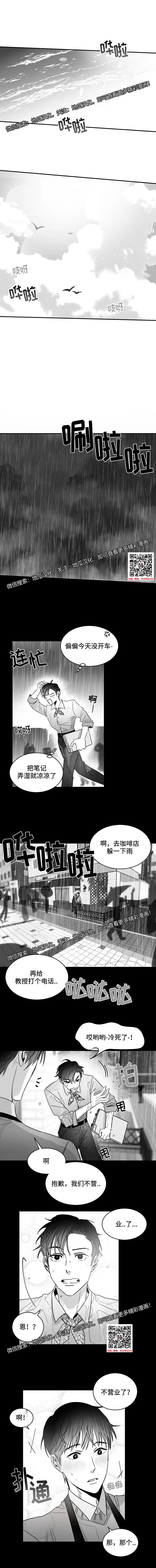 章节图片