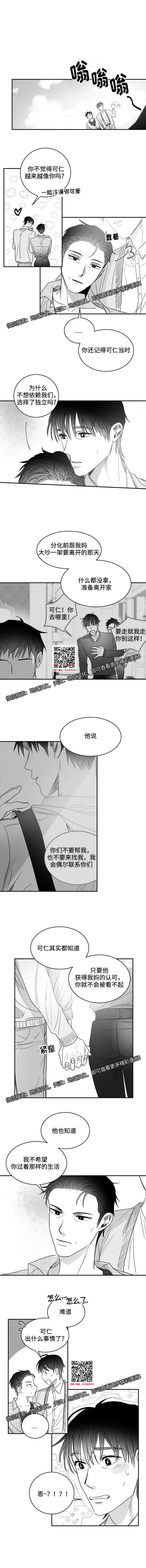 章节图片