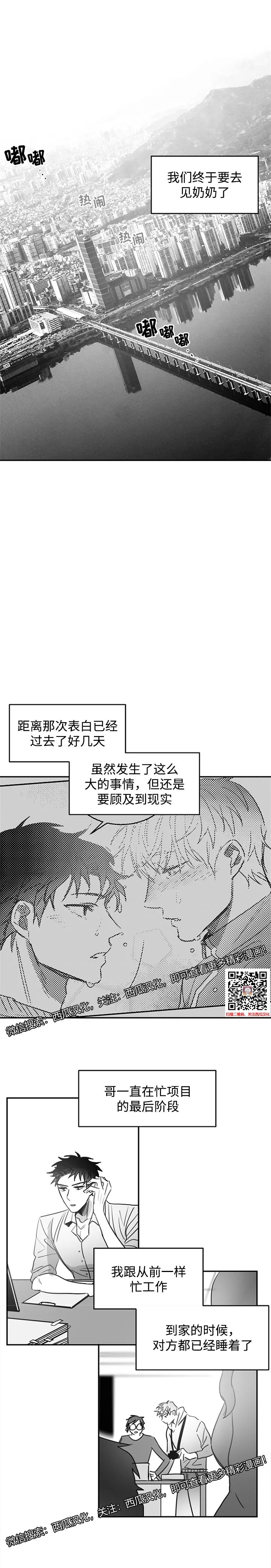 章节图片