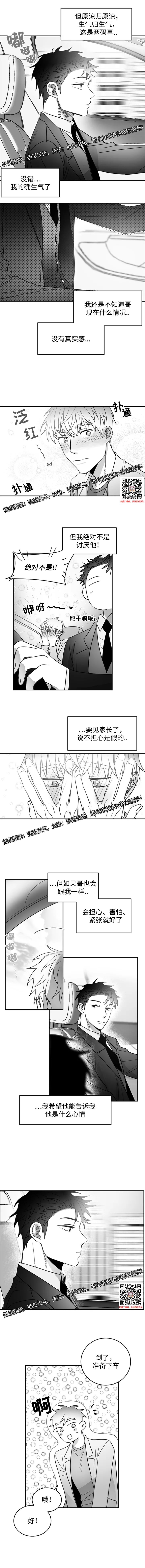章节图片