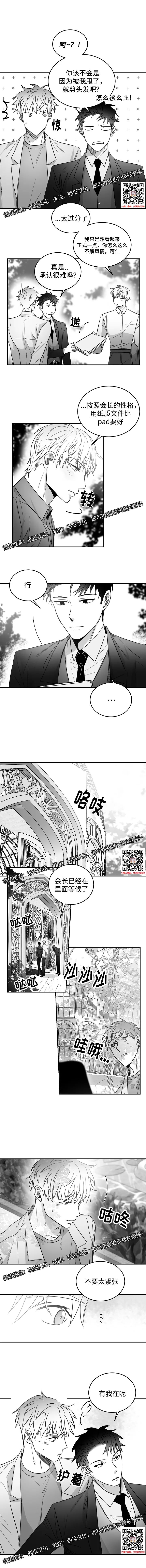 章节图片