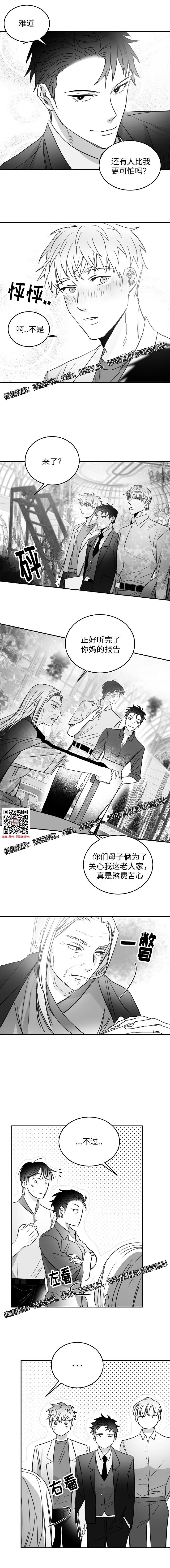 章节图片