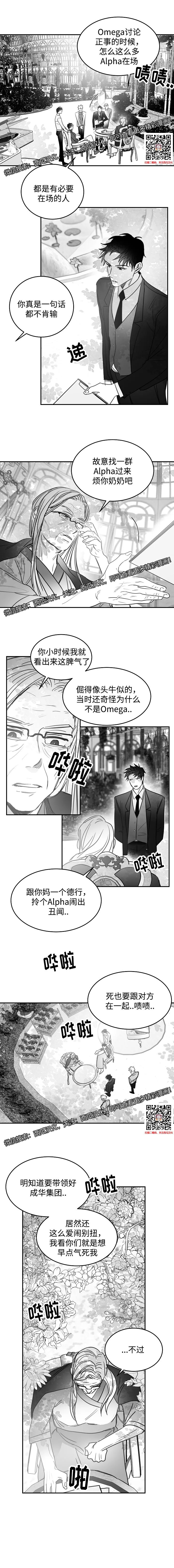 章节图片