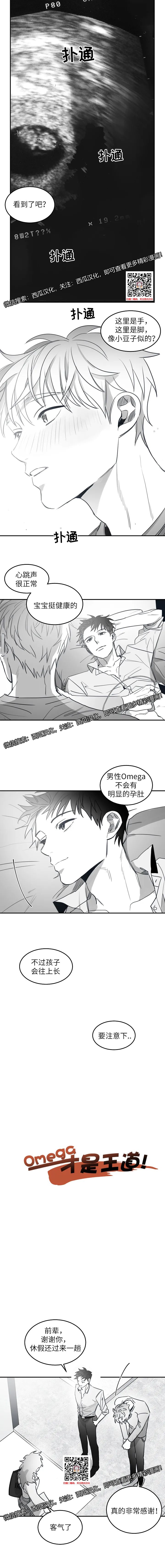 章节图片
