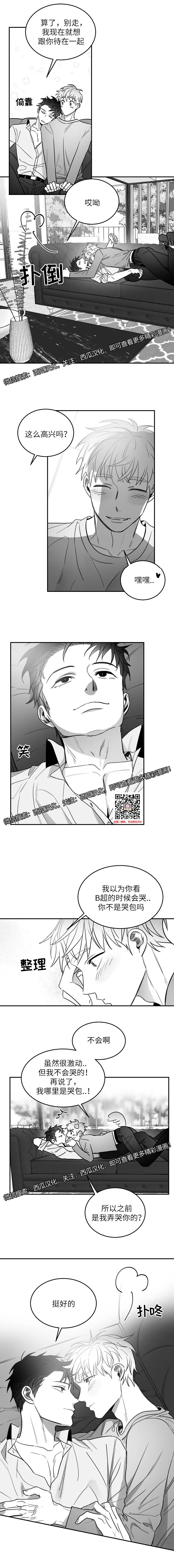 章节图片