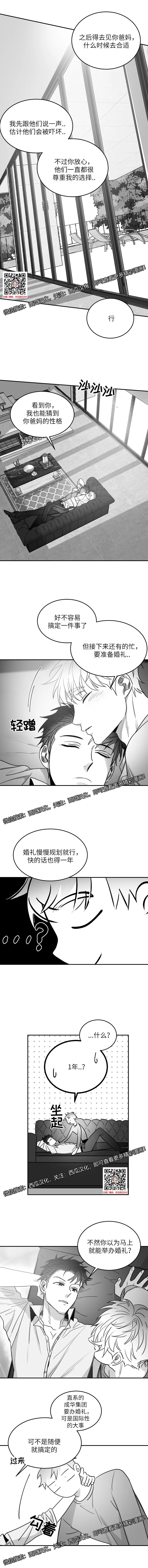 章节图片