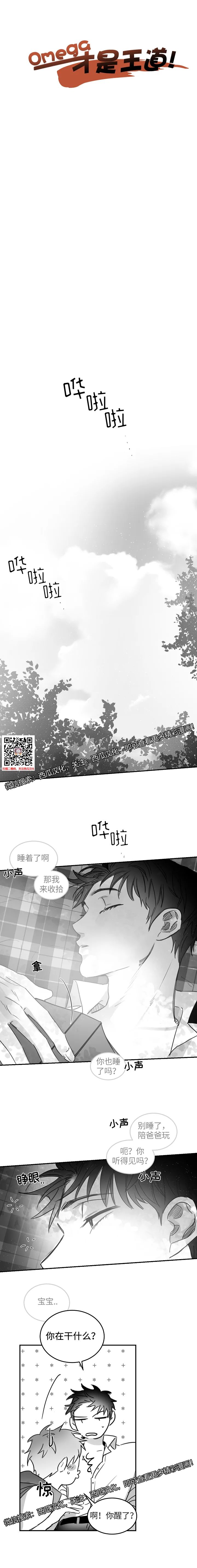 章节图片