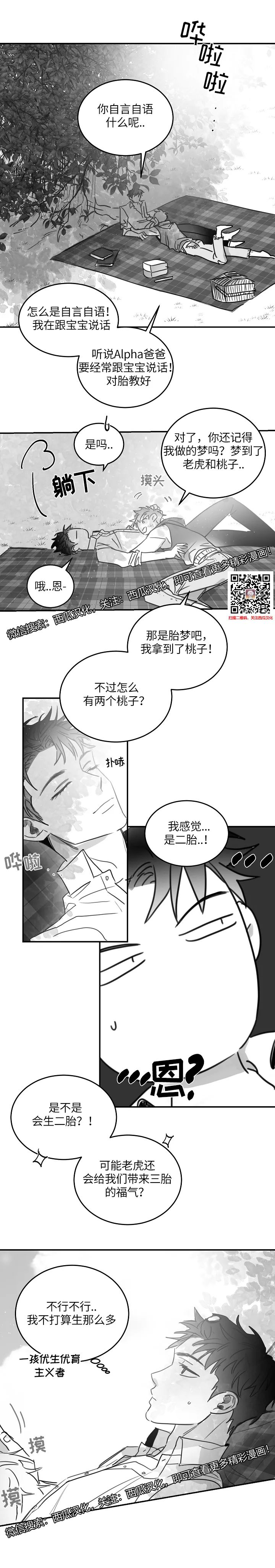 章节图片