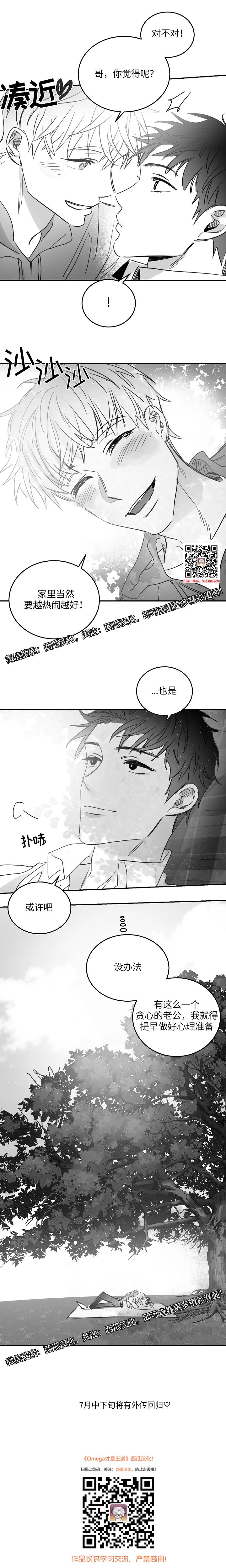 章节图片